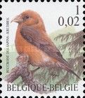 Red Crossbill (Loxia curvirostra)