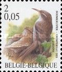 Short-toed Treecreeper (Certhia brachydactyla)