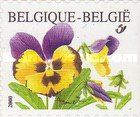 Violet tricolore Self-adhesive Left + Bottom Imperforate