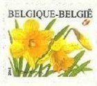 Wild Daffodil Self-adhesive - Left Imperforate