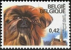 Brussels Griffon (Canis lupus familiaris) with Label