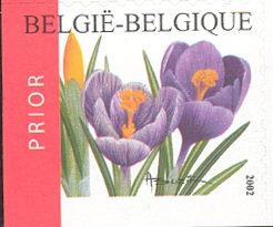 Flowers - Crocus vernus - Left Imperforate
