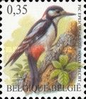 Great Spotted Woodpecker (Dendrocopos major)