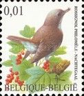Common Nightingale (Luscinia megarhynchos)