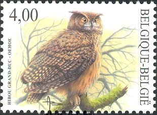 Eurasian Eagle-Owl (Bubo bubo)