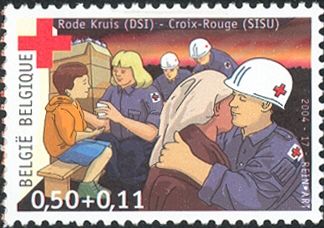 Red Cross 2004: Social Intervention Service Volunteers
