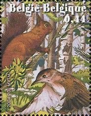 Red Squirrel and Eurasian Blackcap