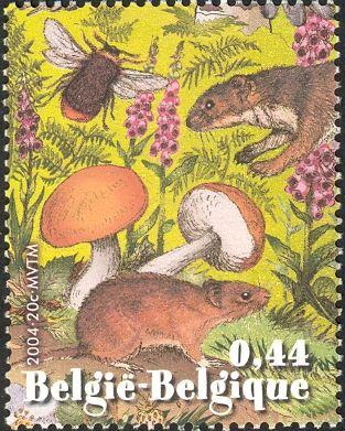Bumblebee, Vole and Weasel