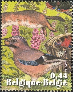 Weasel, Eurasian Jay and European Peacock