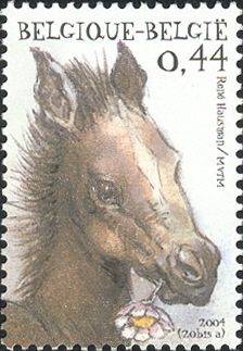 Horse (Equus ferus caballus)