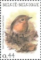 European Robin (Erithacus rubecula)