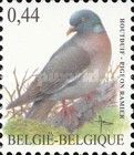 Wood Pigeon (Columba palumbus)