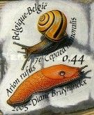 Grove Snail (Cepaea nemoralis), Red Slug (Arion rufus)