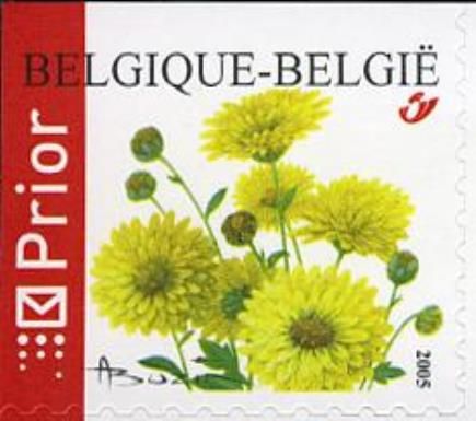 Chrysantenum Self-adhesive - Top + Left Imperforate