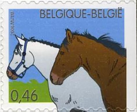 Horse (Equus ferus caballus)