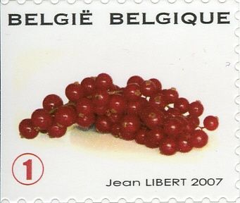 Fruit Self-adhesive - Red Berries