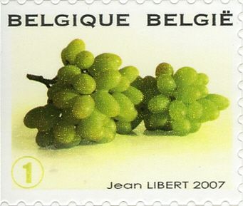 Fruit Self-adhesive - Grapes