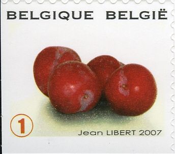 Fruit Self-adhesive - Plums