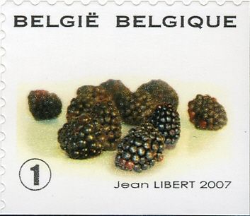 Fruit Self-adhesive - Black Berries