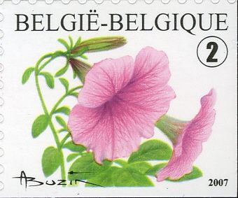 Petunia Hybrida Self-adhesive Left + Bottom Imperforate