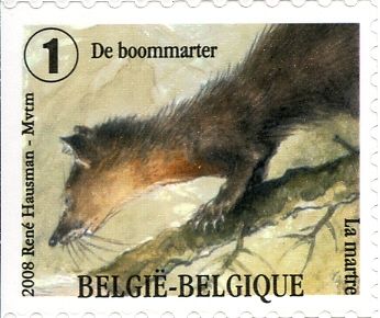 Pine Marten (Martes martes) - Left Imperforate