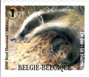 European Badger (Meles meles) - Left + Bottom Imperforate