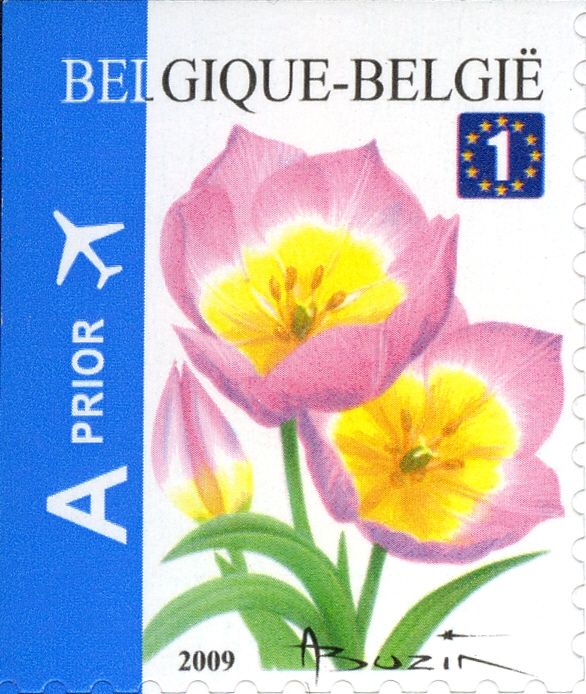 Tulip Bakeri Self-adhesive Top + Left Imperforate