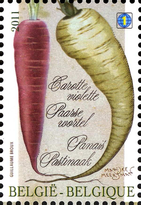 Purple Carrot and Parsnip
