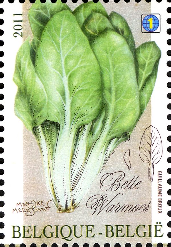 Chard