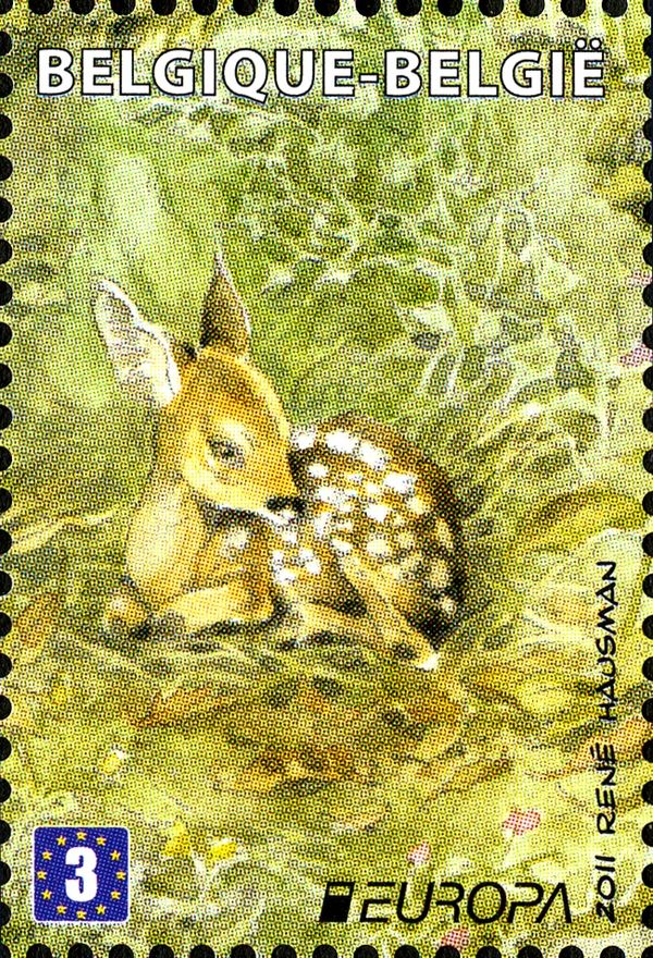 Western Roe Deer (Capreolus capreolus)