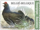 Black Grouse (Lyrurus tetrix)