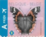 Red Admiral (Vanessa atalanta) - Right Imperforate