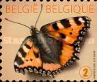 Small Tortoiseshell (Aglais urticae) - Right Imperforate