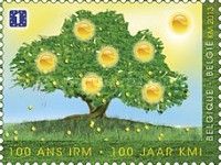 Tree in Summer