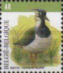 Northern Lapwing (Vanellus vanellus)