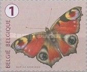 European peacock (Aglais io)