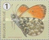 Orange Tip (Anthocharis cardamines)