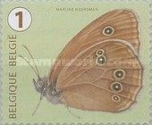 Ringlet (Aphantopus hyperantus)