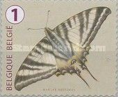 Scarce Swallowtail (Iphiclides podalirius)