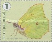 Common Brimstone (Gonepteryx rhamni)