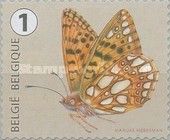 Queen of Spain Fritillary (Issoria lathonia)