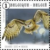 Eurasian Eagle-Owl (Bubo bubo)