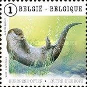 Eurasian Otter (Lutra lutra)