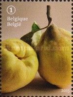 Forgotten fruit: Quince