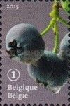 Forgotten Fruit: Blueberry