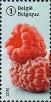 Forgotten fruit: Loganberries