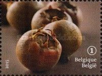 Forgotten fruit: Medlar