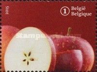 Forgotten fruit: Star Apple