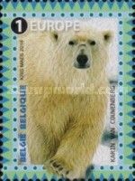 Polar Bear (Ursus maritimus)