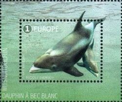 White-beaked Dolphin (Lagenorhynchus albirostris)